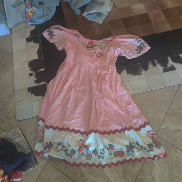 Her Universe Dresses & Skirts - Her Universe   Strawberry Shortcake dress size 2x New